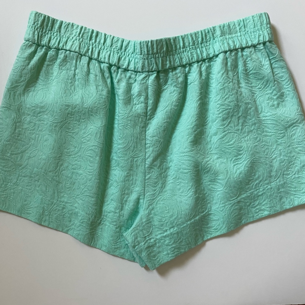 J. Crew Shorts